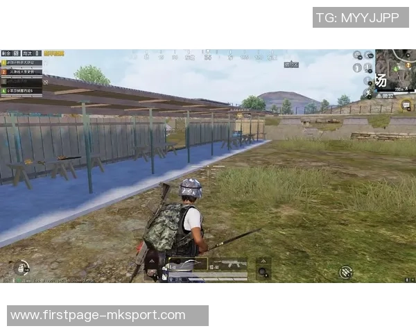 吴秀英的和平精英之路：从新手到高手的成长与挑战分享